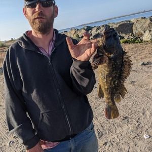 Meet your Posher, Danny